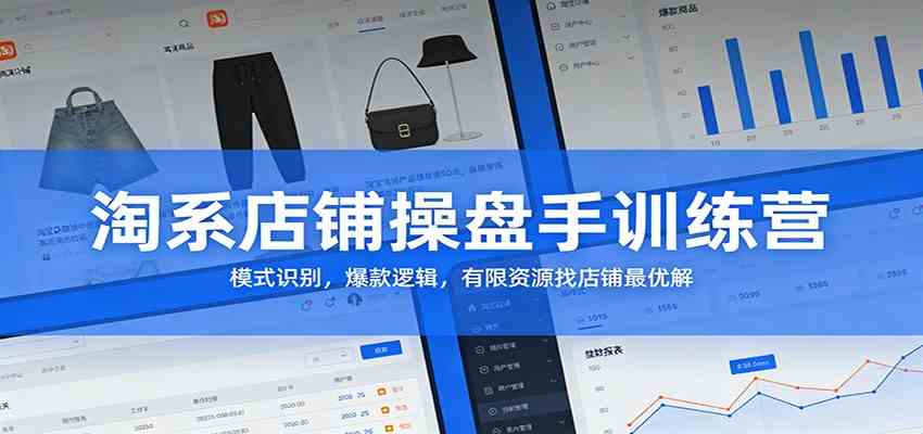 淘系店铺操盘手训练营：模式识别，爆款逻辑，有限资源找店铺最优解 - 简单网创项目资源网