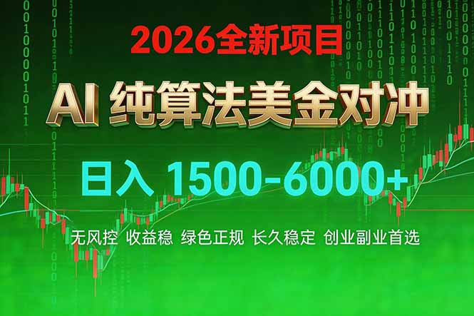 2026 全新美金对冲项目，不套平台赠金，不封号，纯算法对冲，日入 1500-6000+ - 简单网创项目资源网