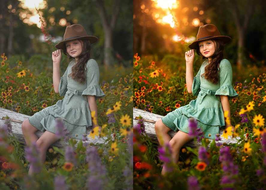 （17403期）大师级GTG出品-老友记系列AI自适应预设The Friends Preset Collection - 简单网创项目资源网