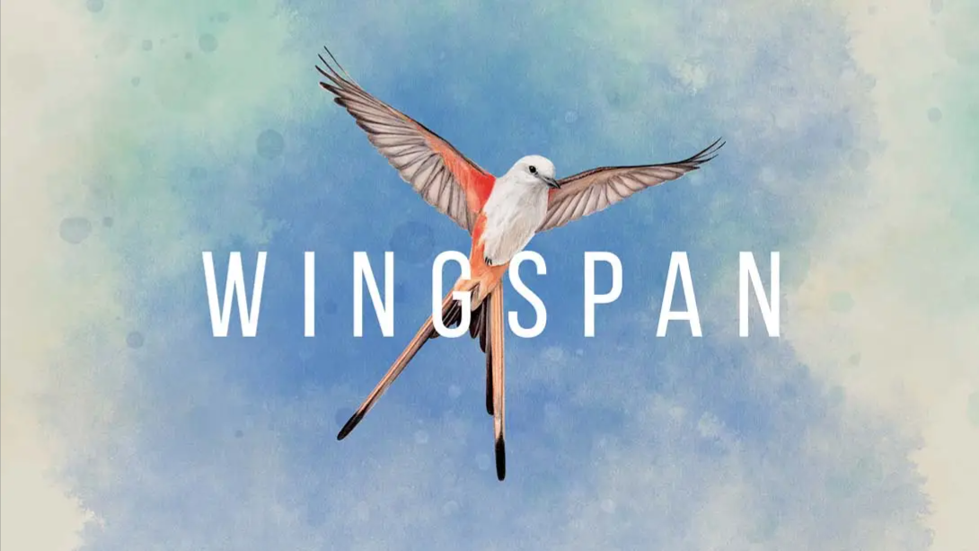 【美版】展翅翱翔 Wingspan 中文 - 简单网创项目资源网